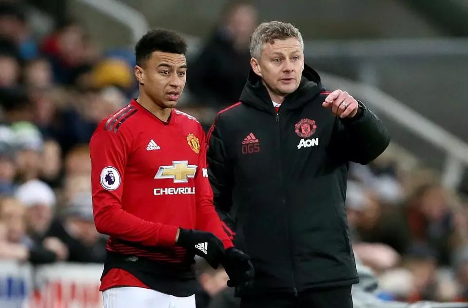 或者寻求新 或者寻求新